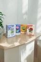 Flor Suculenta Bea de Guimar 91 Pcs 