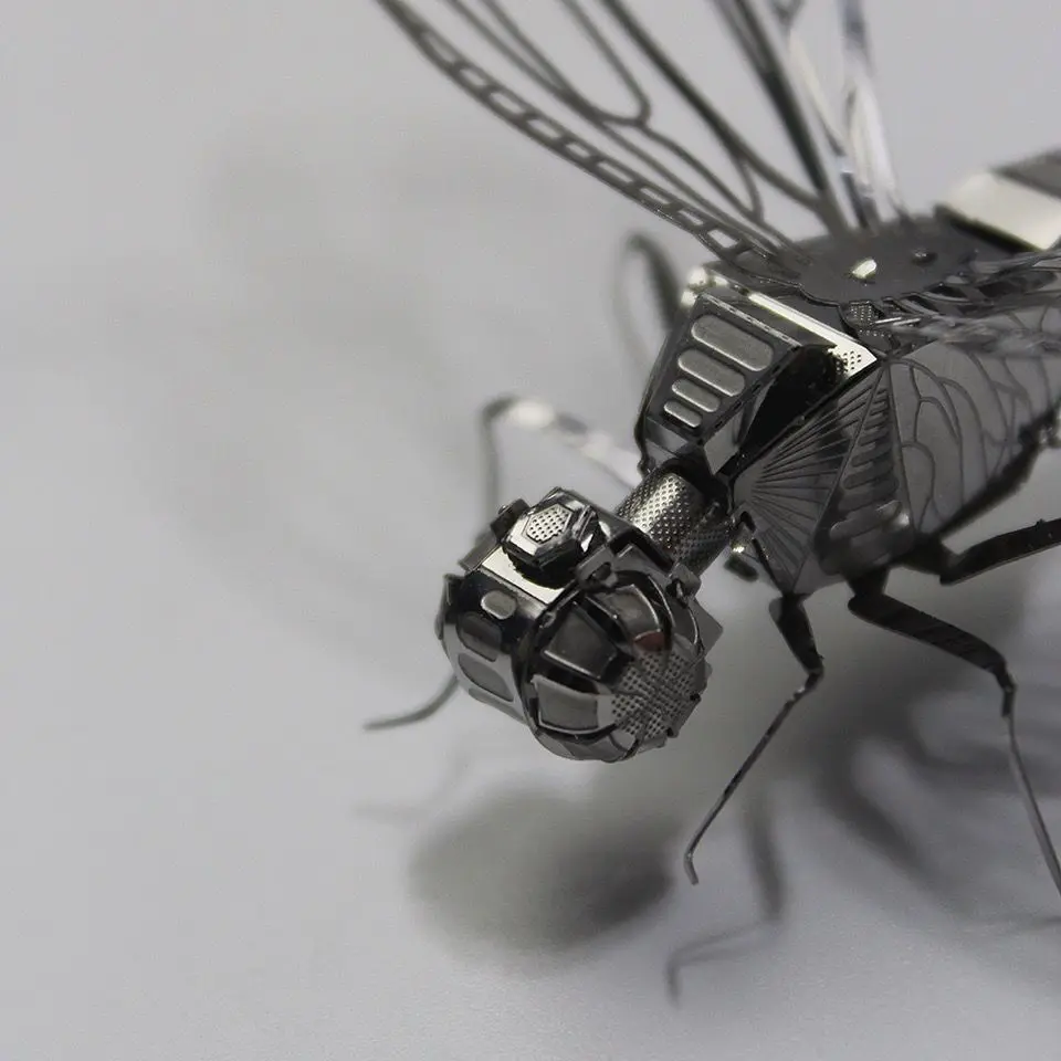 DRAGONFLY 5.webp