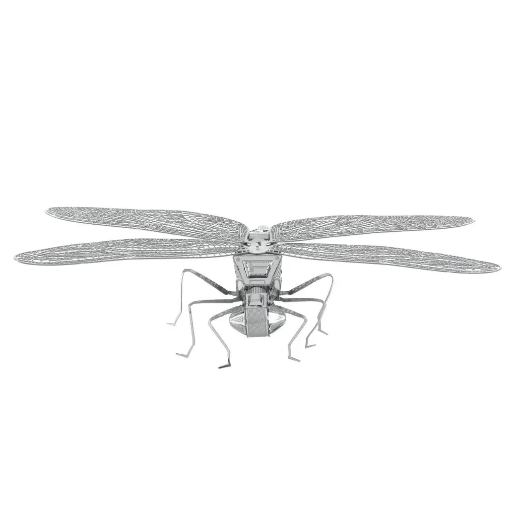 DRAGONFLY 6.webp