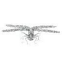 DRAGONFLY 6.webp