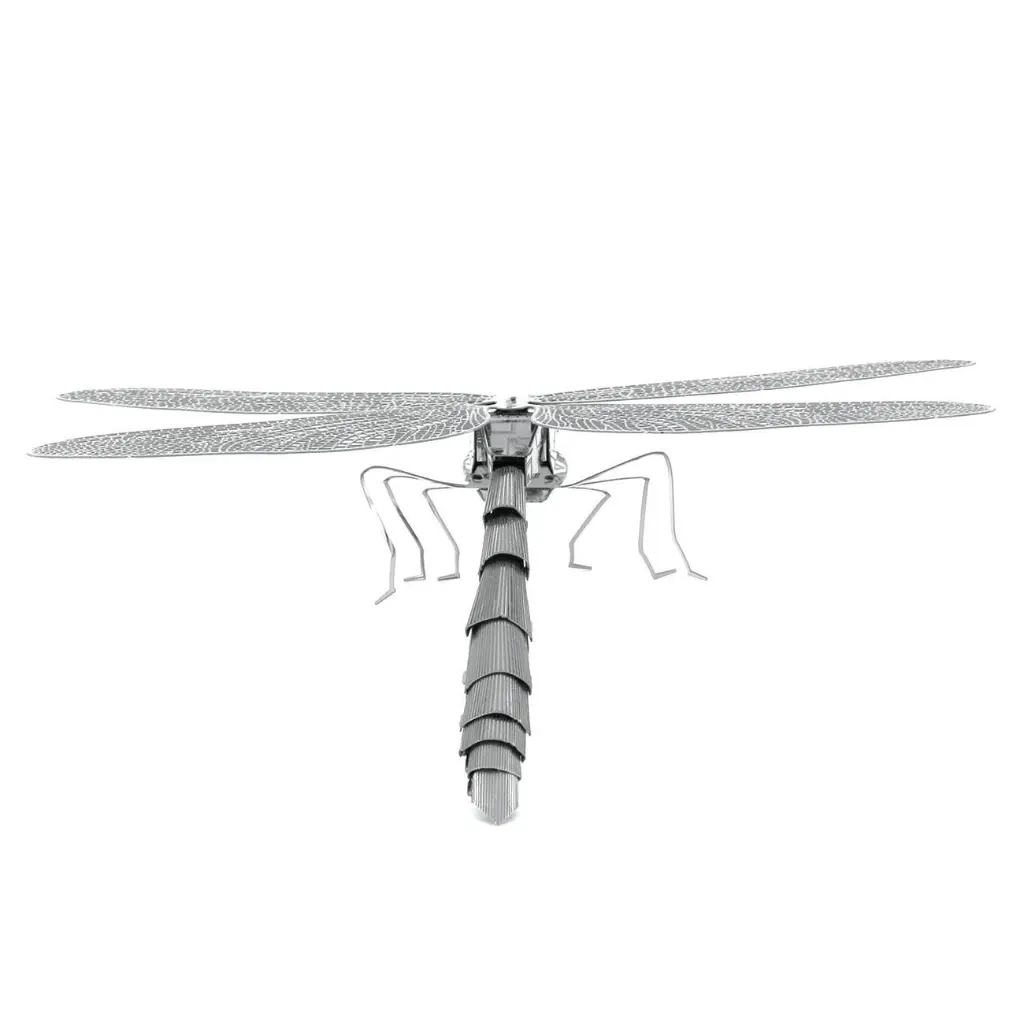 DRAGONFLY 7.webp