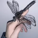 DRAGONFLY 2.webp