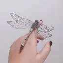 DRAGONFLY 4.webp