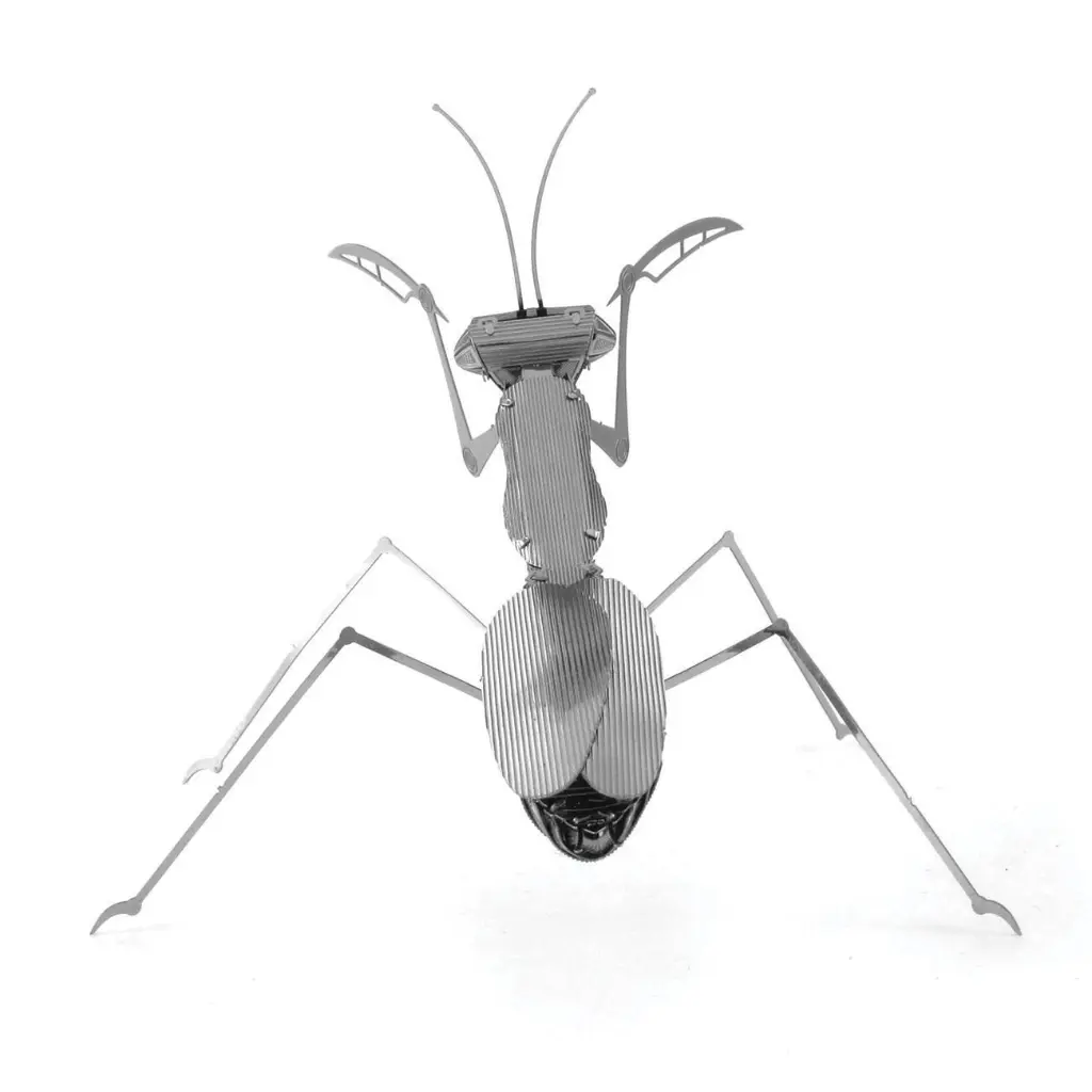 MANTIS 2.webp