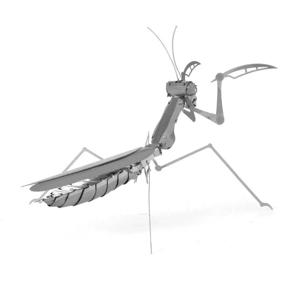 MANTIS 3.webp