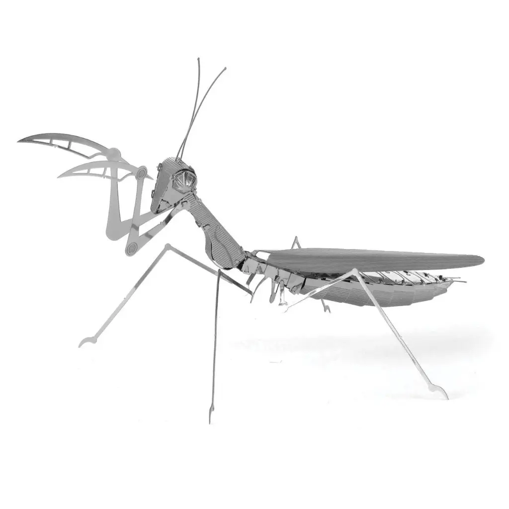 MANTIS 1.webp