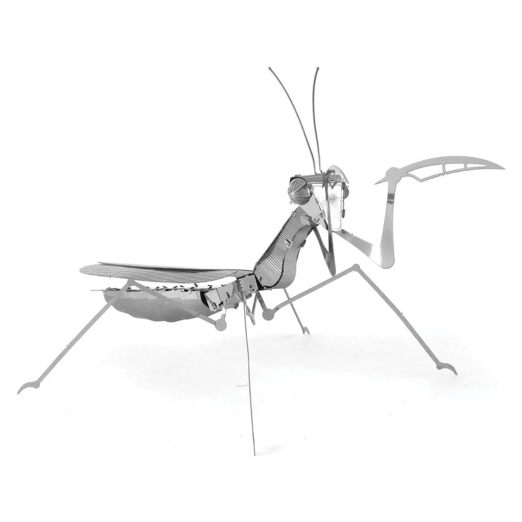MANTIS 4.webp