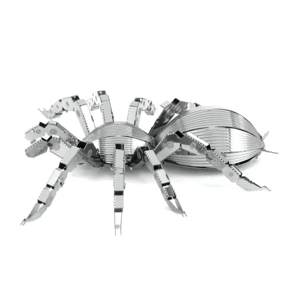 Spider 3.webp