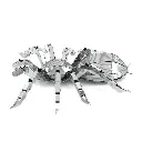 Spider 3.webp