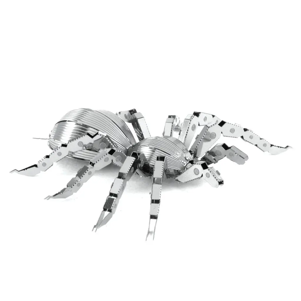 Spider 1.webp