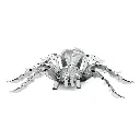 Spider 2.webp