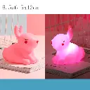 1000479673.webp