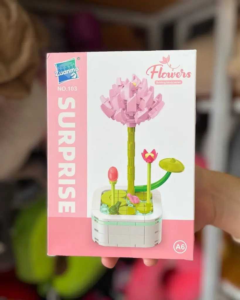 WhatsApp Image 2026-02-06 at 9.52.59 AM.webp