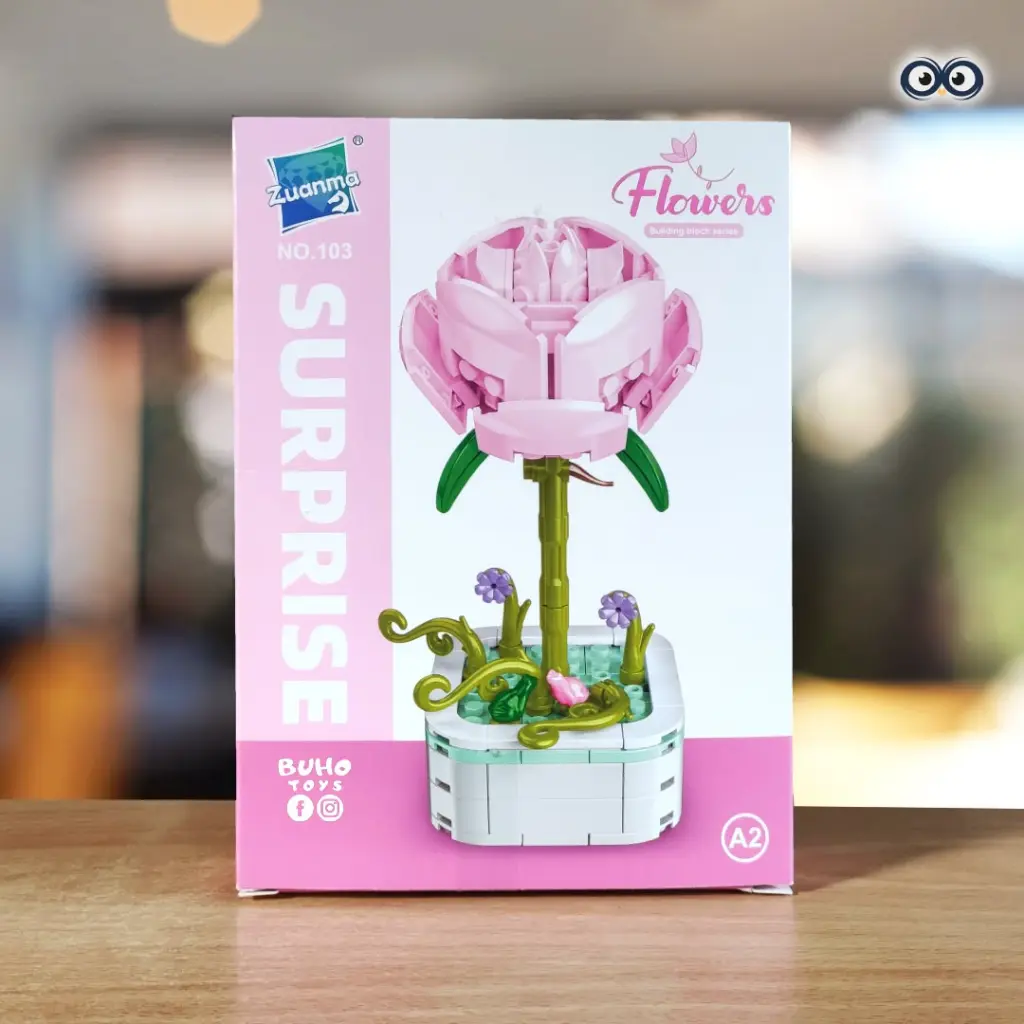 WhatsApp Image 2026-02-06 at 9.53.00 AM (1).webp