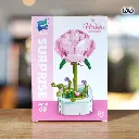 WhatsApp Image 2026-02-06 at 9.53.00 AM (1).webp