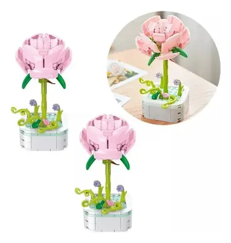 WhatsApp Image 2026-02-06 at 9.52.58 AM.webp