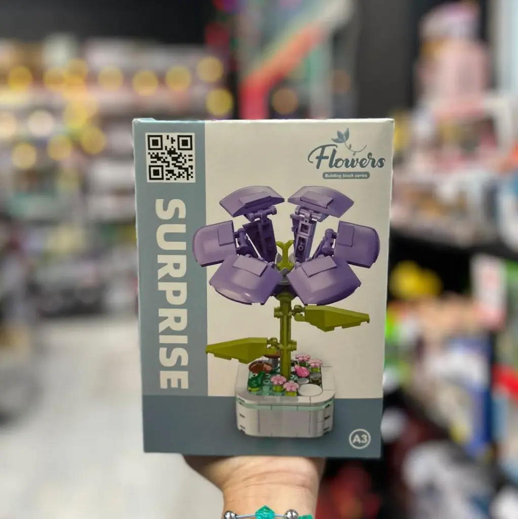 WhatsApp Image 2026-02-06 at 9.52.57 AM.webp