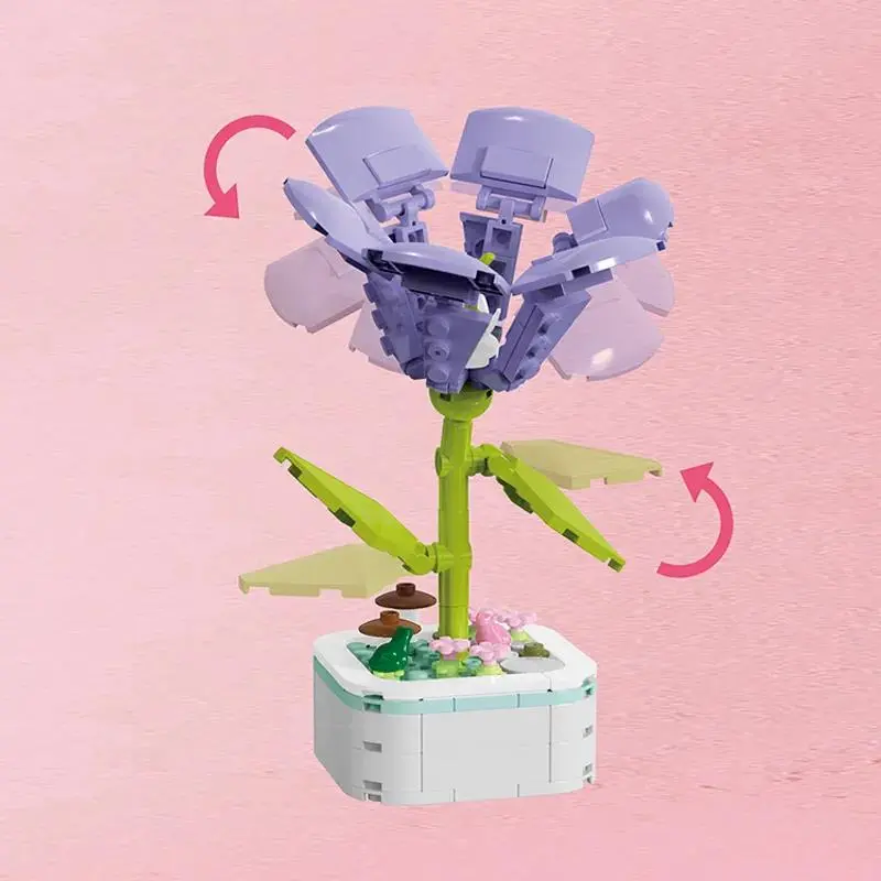 WhatsApp Image 2026-02-06 at 9.52.21 AM.webp