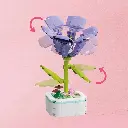 WhatsApp Image 2026-02-06 at 9.52.21 AM.webp