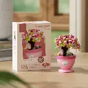 Bonsai 2.webp