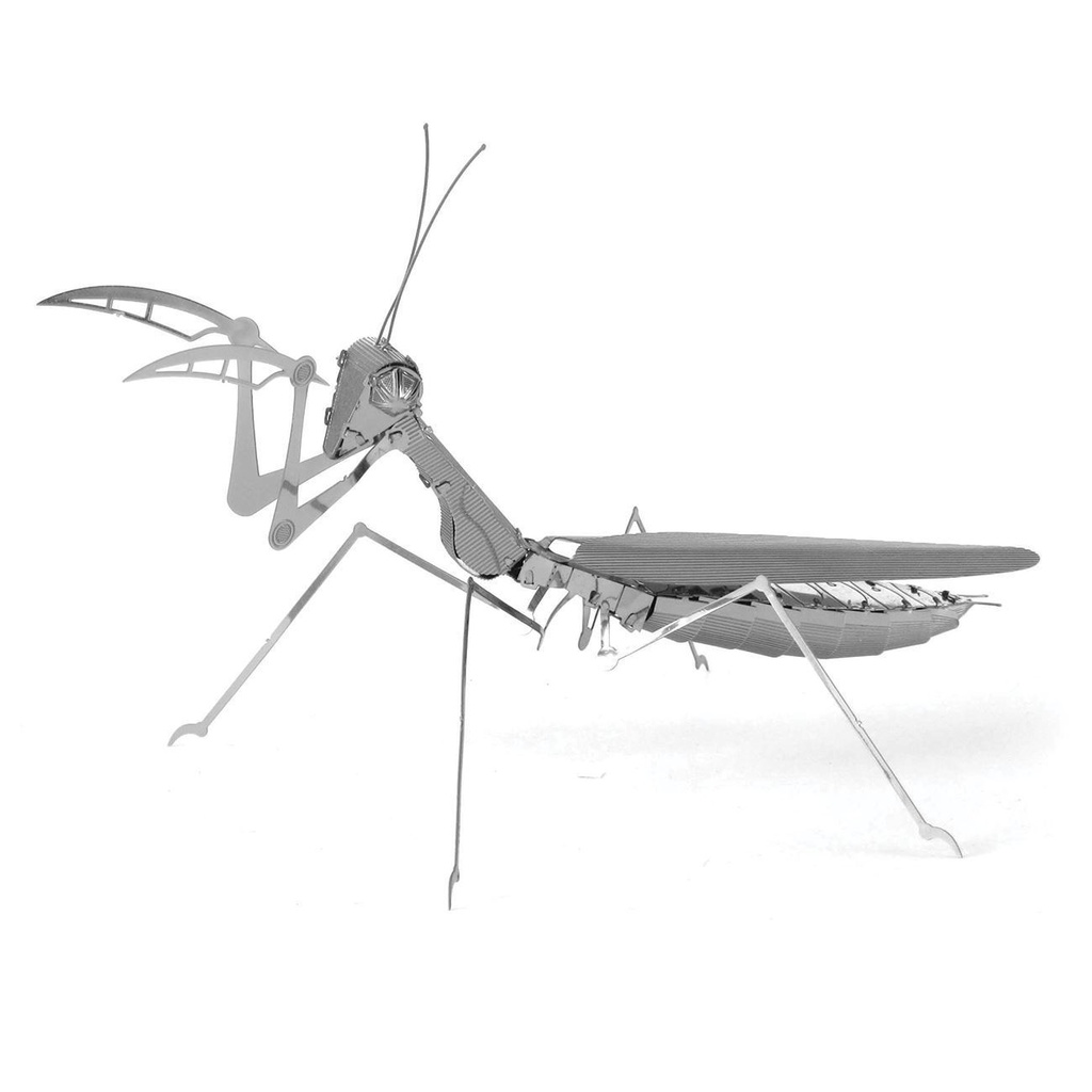 Mantis