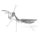 Mantis