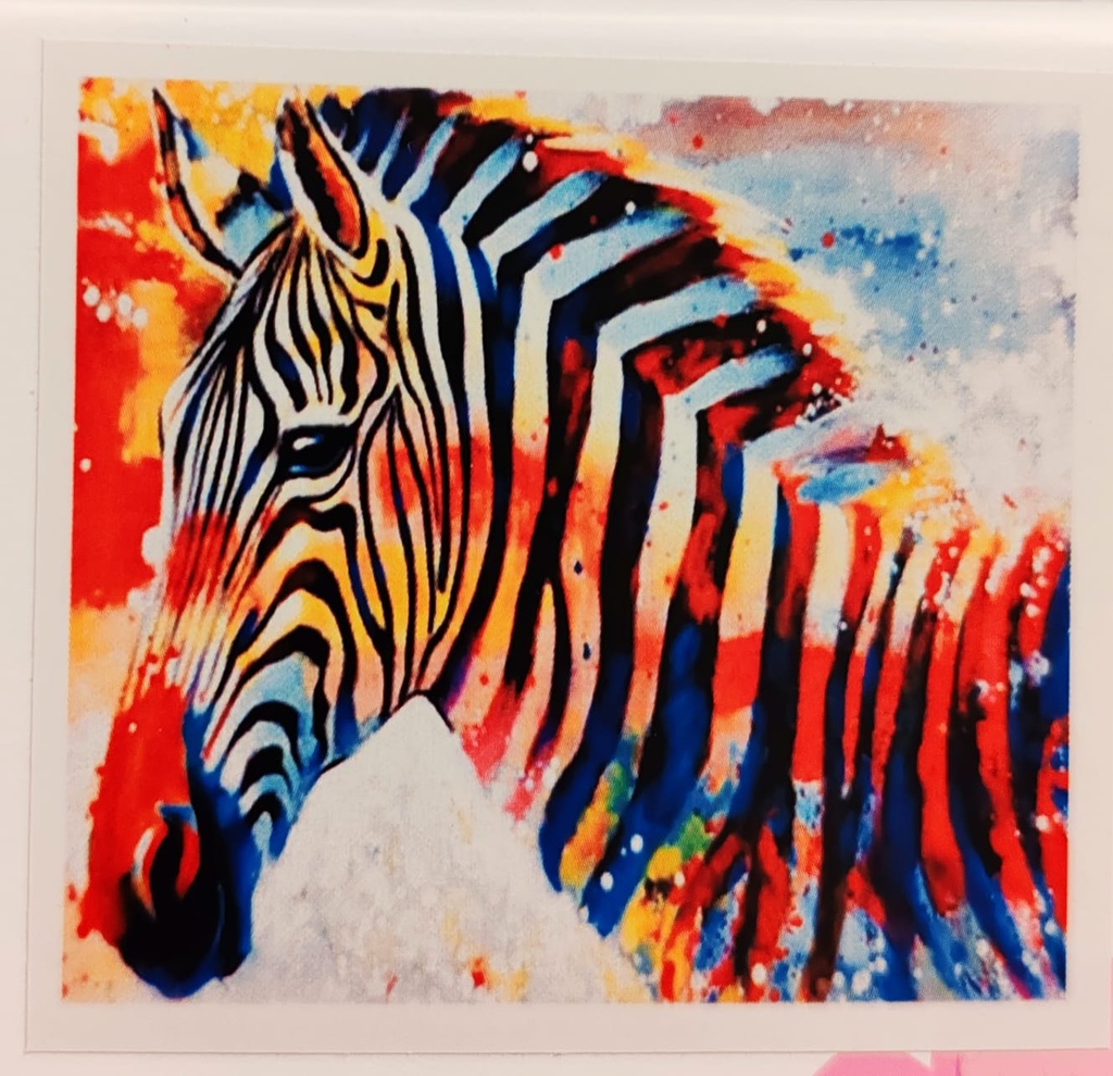 Cebra Cuadros de diamantes 5d 20*30cm