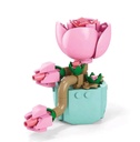 Flor Suculenta Bea de Guimar 91 Pcs 