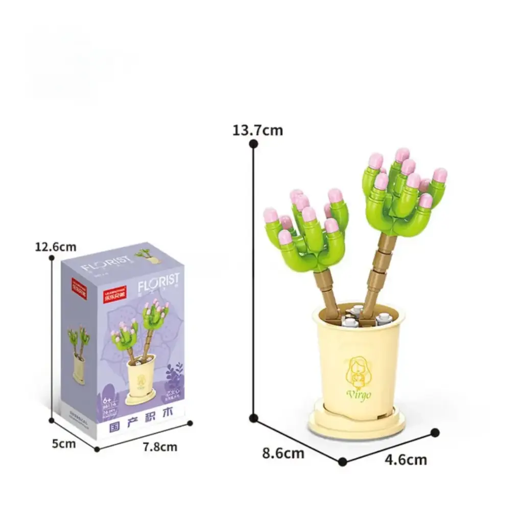 Flor Suculenta Sedum Pachyphyllum -Virgo-  76 pcs 