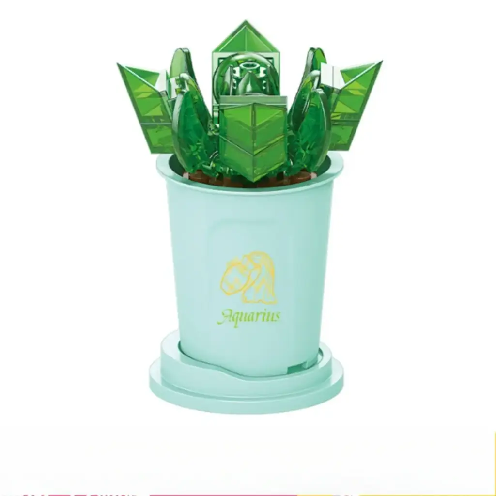 Flor Suculenta Haworthia Cooperi -Acuario-  41 pcs 