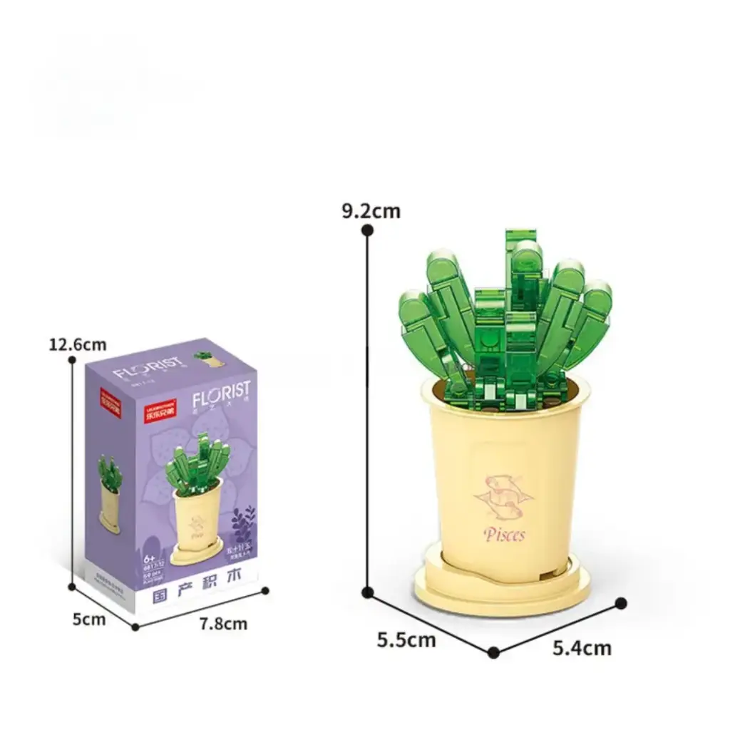 Flor Suculenta Fenestraria Rhopalophylla -Piscis-  59 pcs 