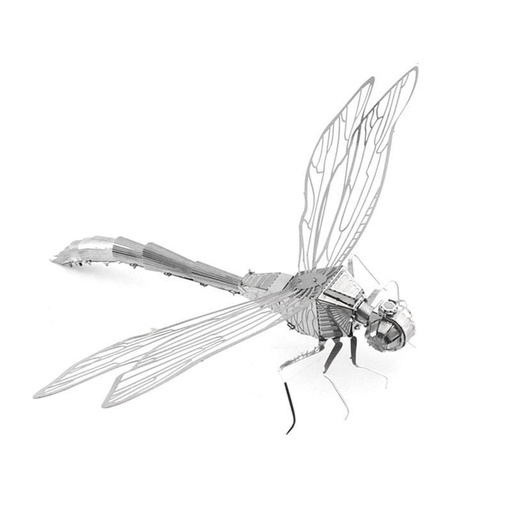 [ANI-001] Libelula