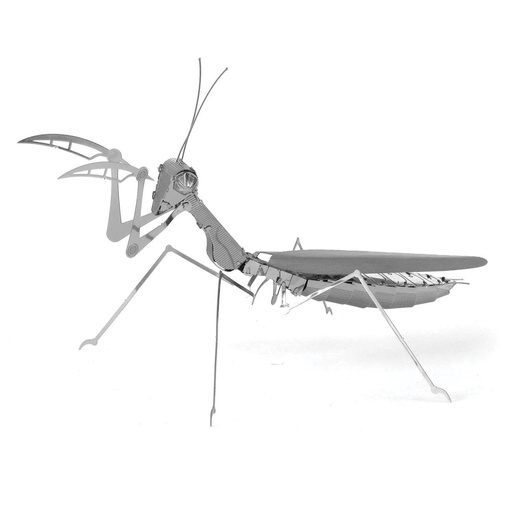 [ANI-004] Mantis