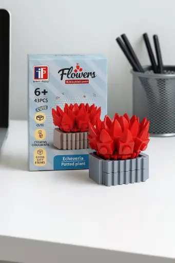 [F-123-946B] Flor Maceta Suculenta Echeveria Roja 43pcs 