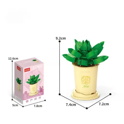 [F-8717-1] Flor Suculenta Haworthia Duval -Aries-  68 pcs 