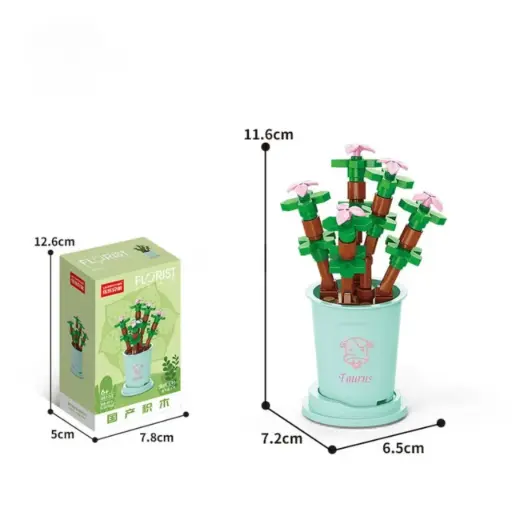 [F-8717-2] Flor Suculenta Portucalaria Afra -Tauro-  46 pcs 