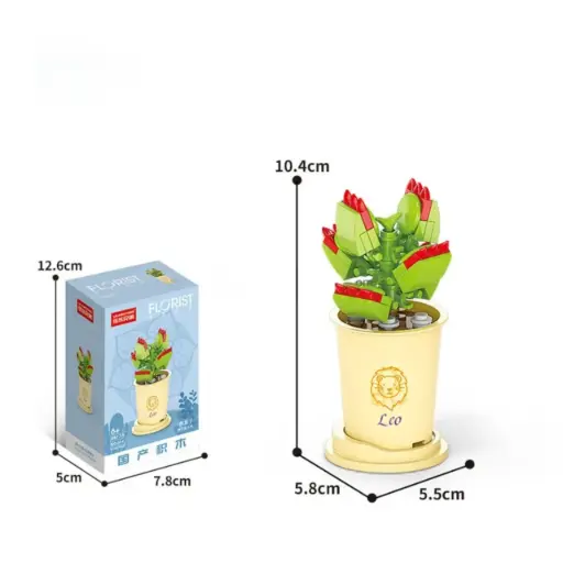 [F-8717-5] Flor Suculenta Cotyledon Tomentosa -Leo-  50 pcs 