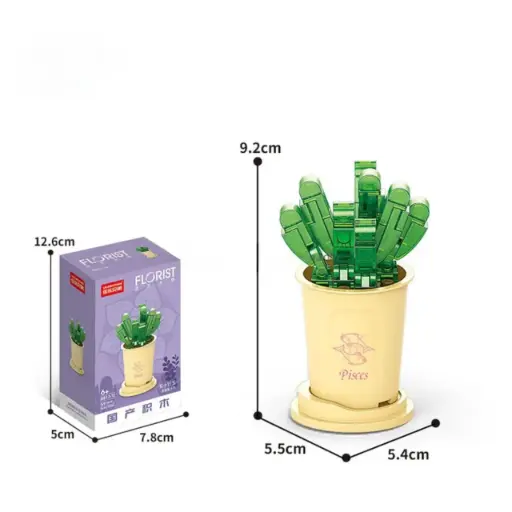 [F-8717-12] Flor Suculenta Fenestraria Rhopalophylla -Piscis-  59 pcs 