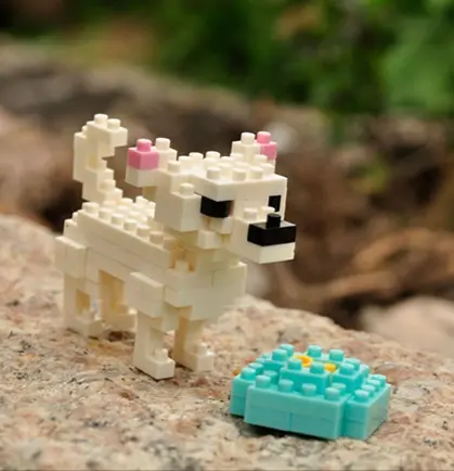 [I-B21] Chihuahua